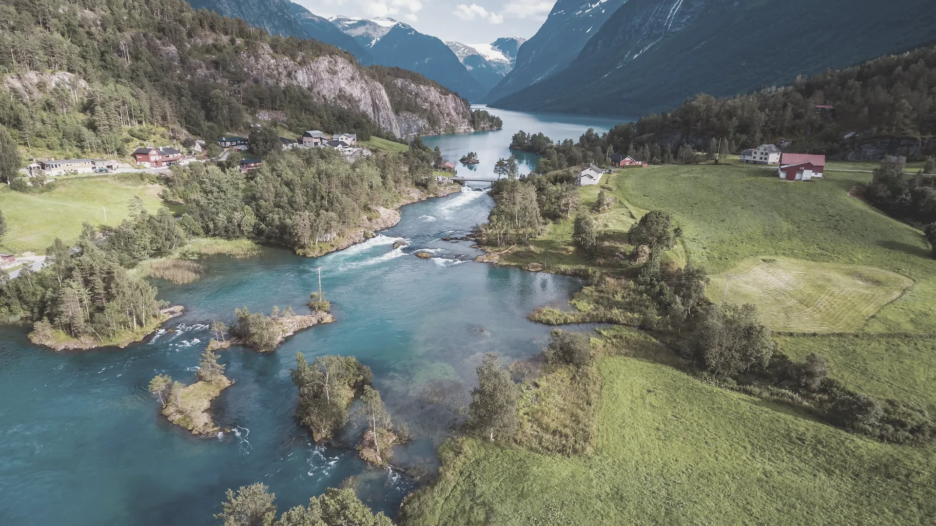 Eine grüne Fjordlandschaft aus der Höhe, Wasser und Hänge ineinander